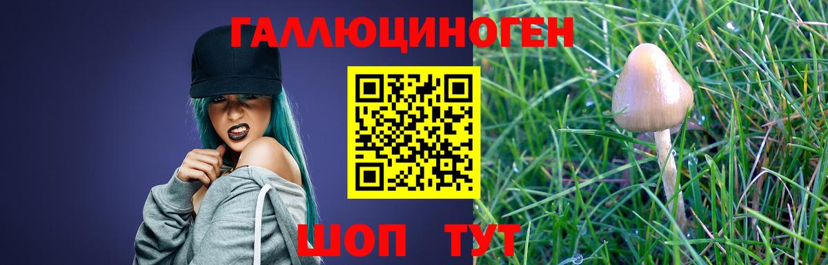Галлюциногенные грибы Psilocybe Архангельск